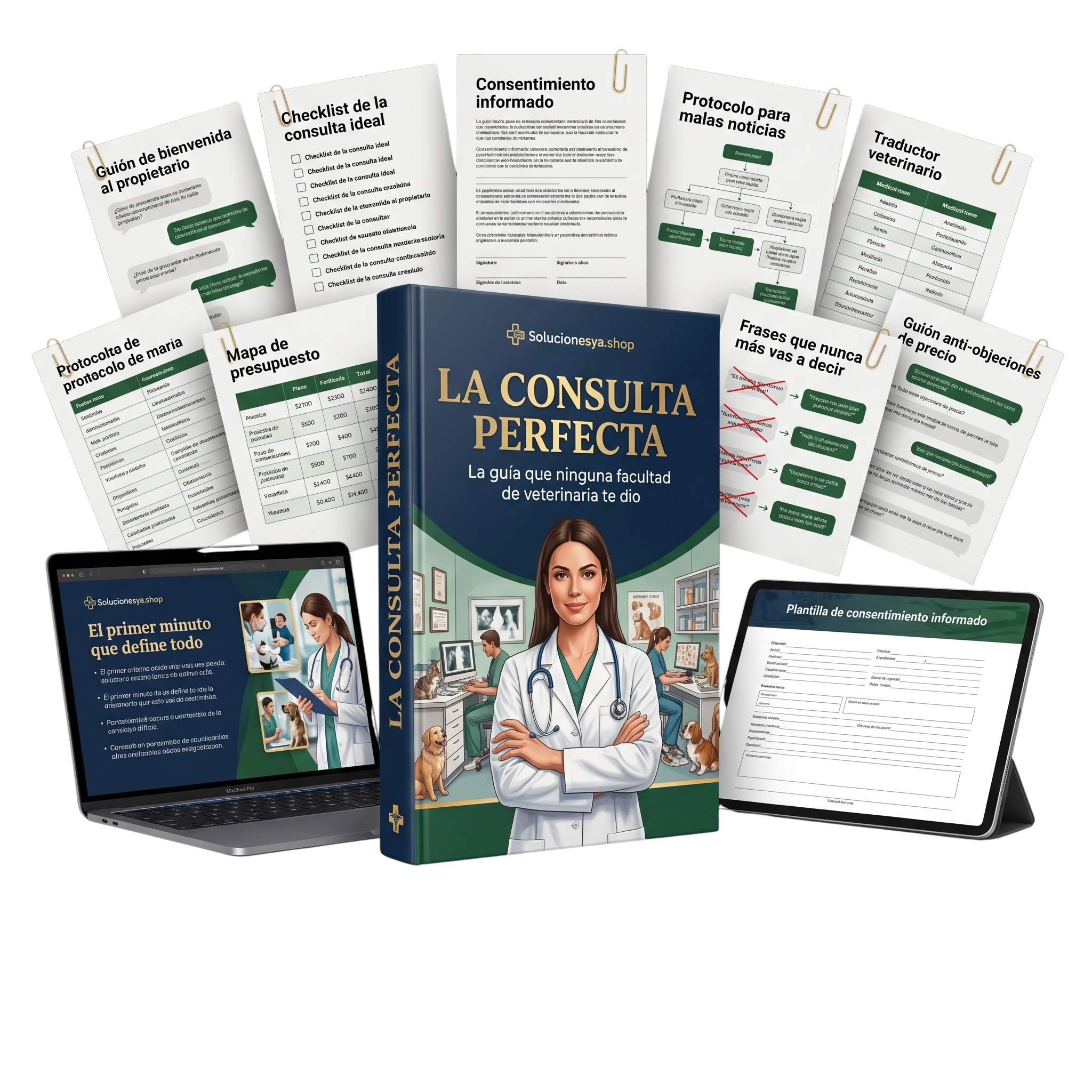 La consulta perferca - Pro